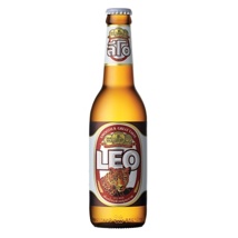 Bier LEO 24x330ml